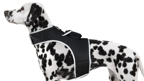 Portable GPS Phone Pet Tracker Realtime Wireless Surveillance for Dogs Size:L