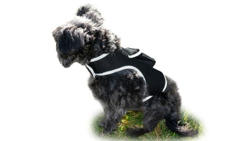 Portable GSM GPS Pet Tracking Devices Waterproof Mini Dog Cat Locator Size:L