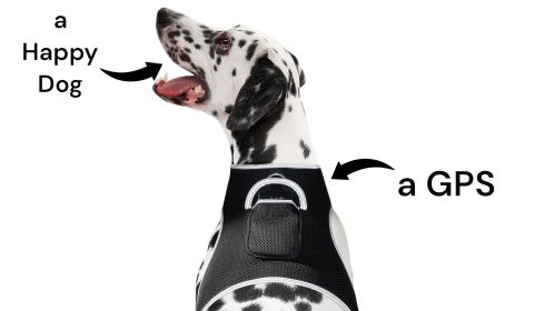 Portable GPRS Dog GPS App Waterproof Pet Tracking Device Collar Mount Size:L