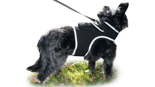 Lesser Cost Pet Surveillance System Pet Tracker GPS Tracker for Dog Collar Size:L