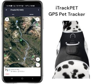 Heavy Duty GSM GPS Dog Collar Realtime Rechargeable Tracking Device w/ Phone App Size:L